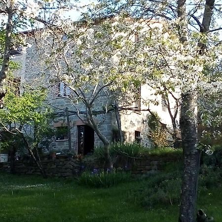 La Fonte B&B Pietralunga  Buitenkant foto