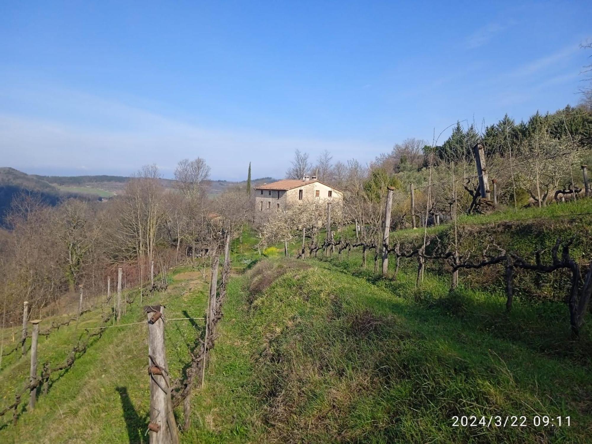 La Fonte B&B Pietralunga  Buitenkant foto