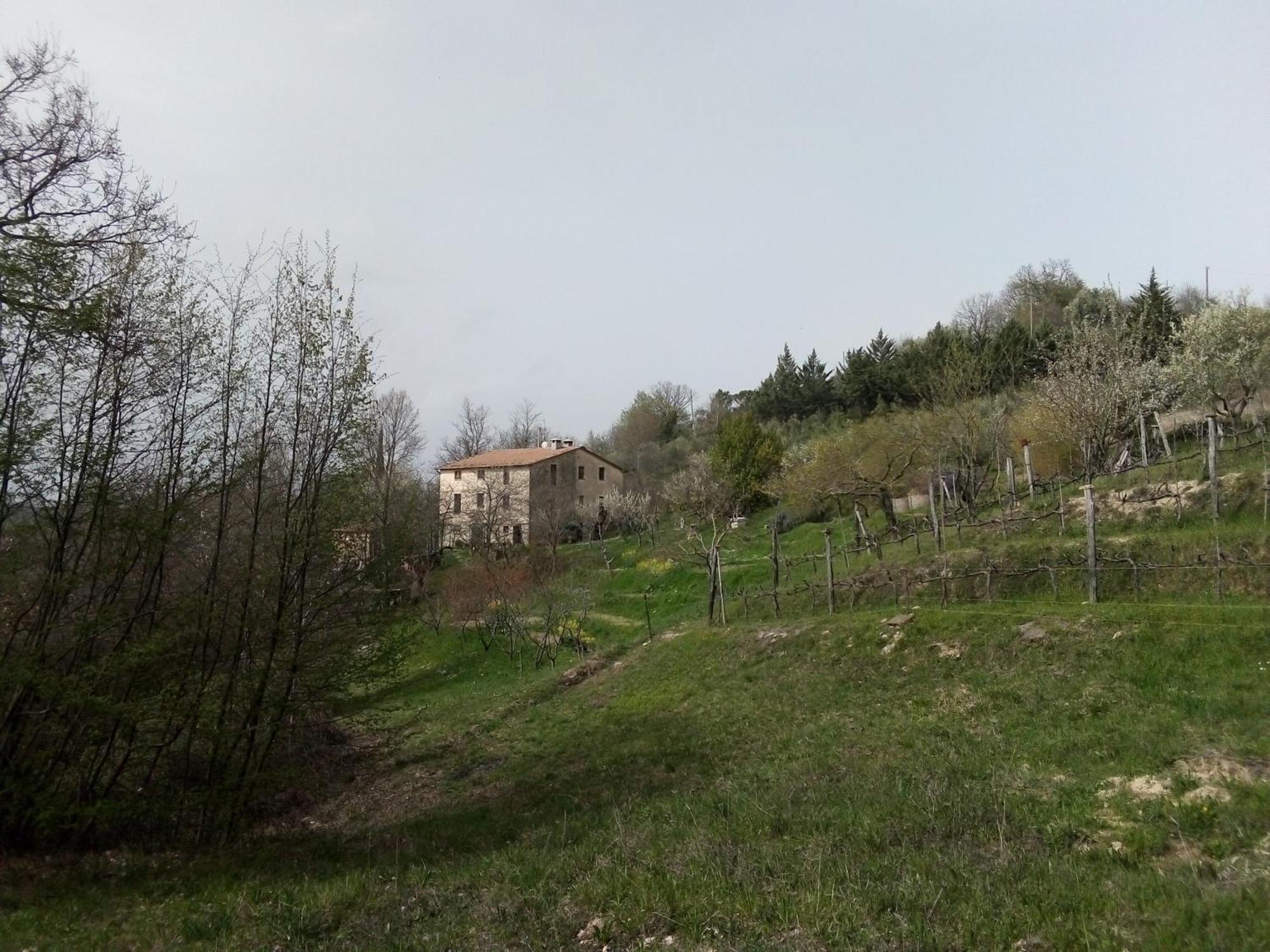 La Fonte B&B Pietralunga  Buitenkant foto