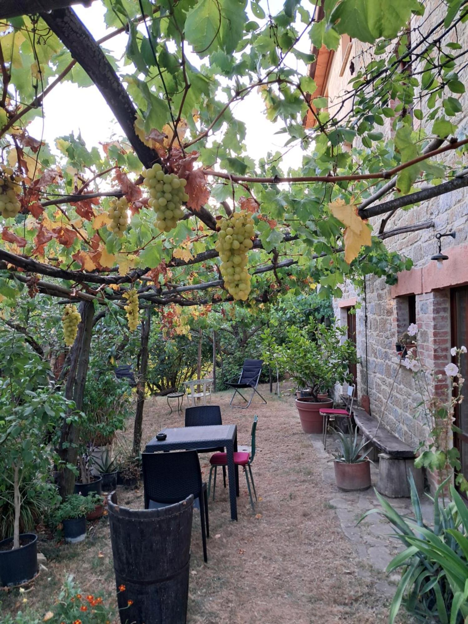 La Fonte B&B Pietralunga  Buitenkant foto