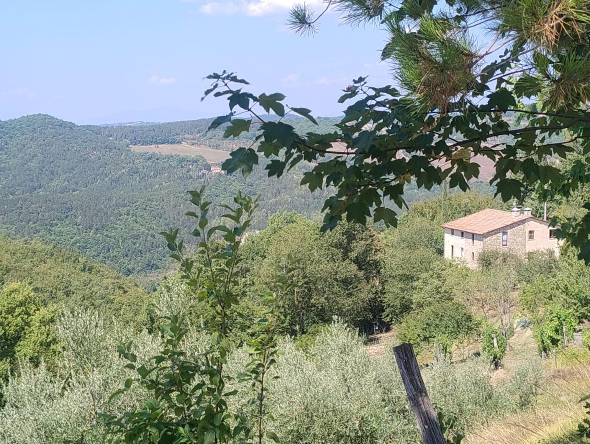 La Fonte B&B Pietralunga  Buitenkant foto