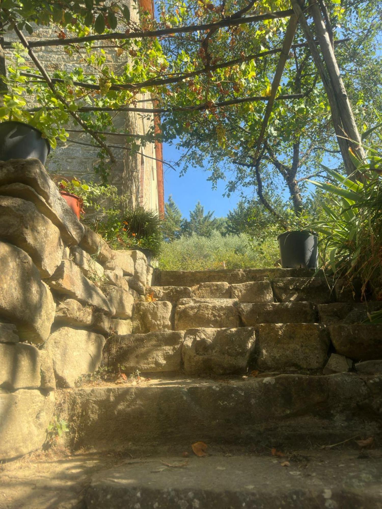 La Fonte B&B Pietralunga  Buitenkant foto