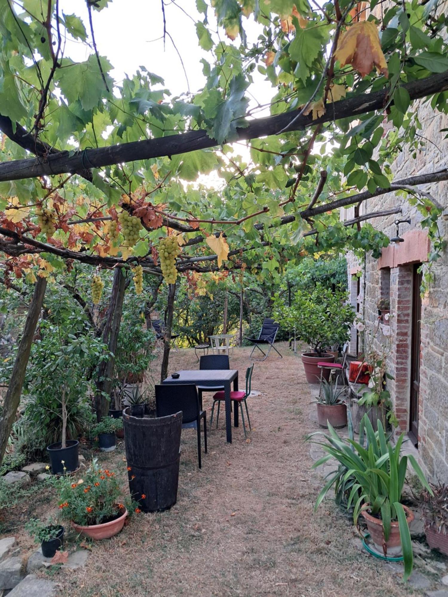 La Fonte B&B Pietralunga  Buitenkant foto